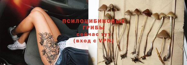 прущая мука Сясьстрой