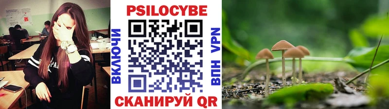 Галлюциногенные грибы мухоморы  Заозёрск 